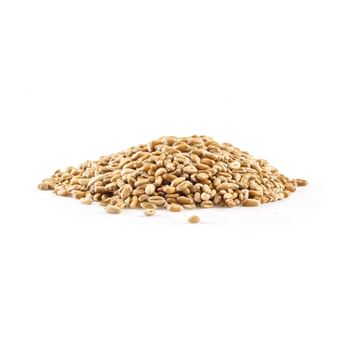 Promoción grano de trigo para semillas, grano de trigo para semillas a la  venta, grano de trigo para semillas promocional