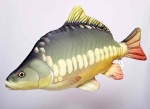 GABY - Pluszowy Karp ( Gigant 90 cm ) GABY - Pluszowy Karp ( Gigant 90 cm )