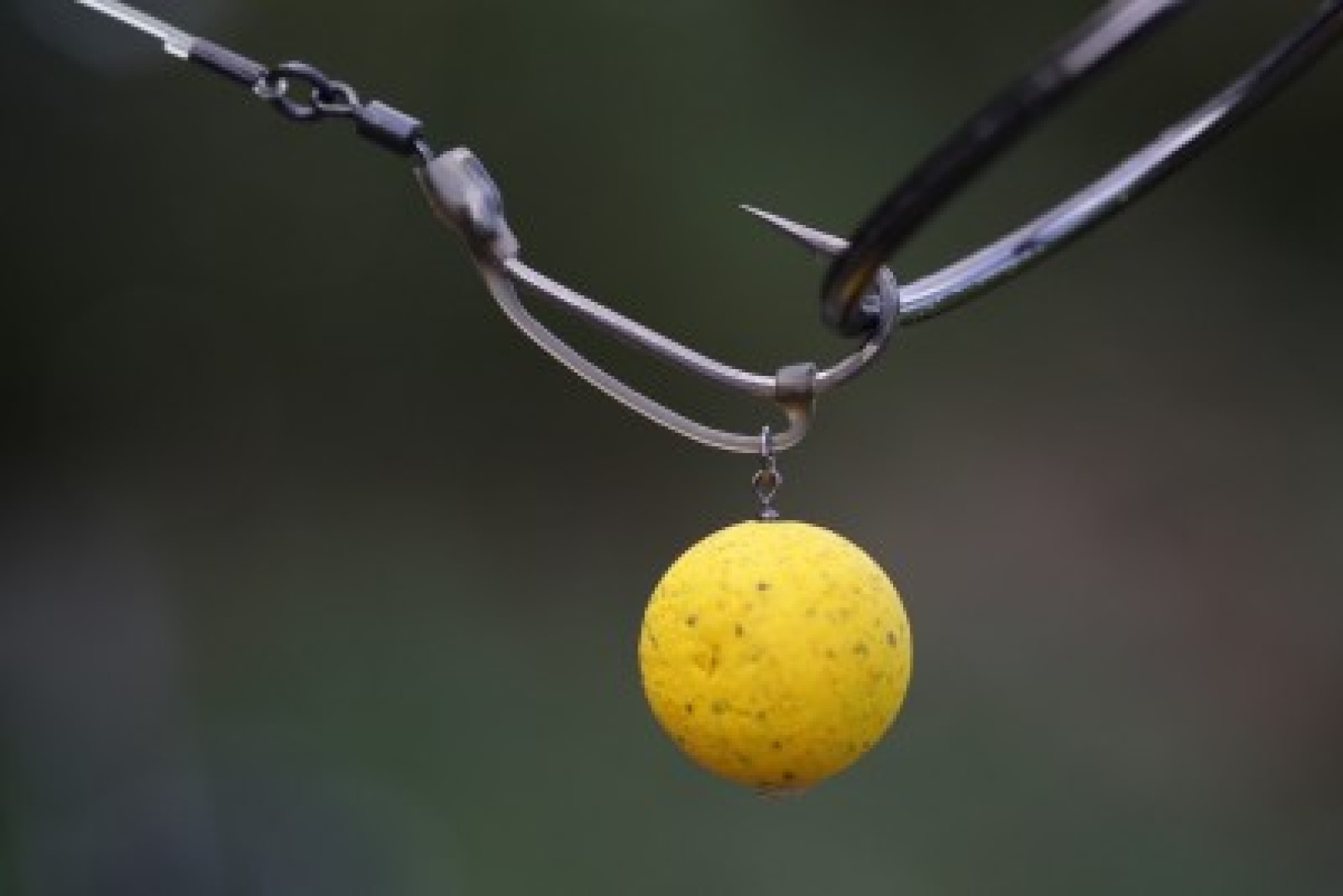 Korda Kickers D-Rig 