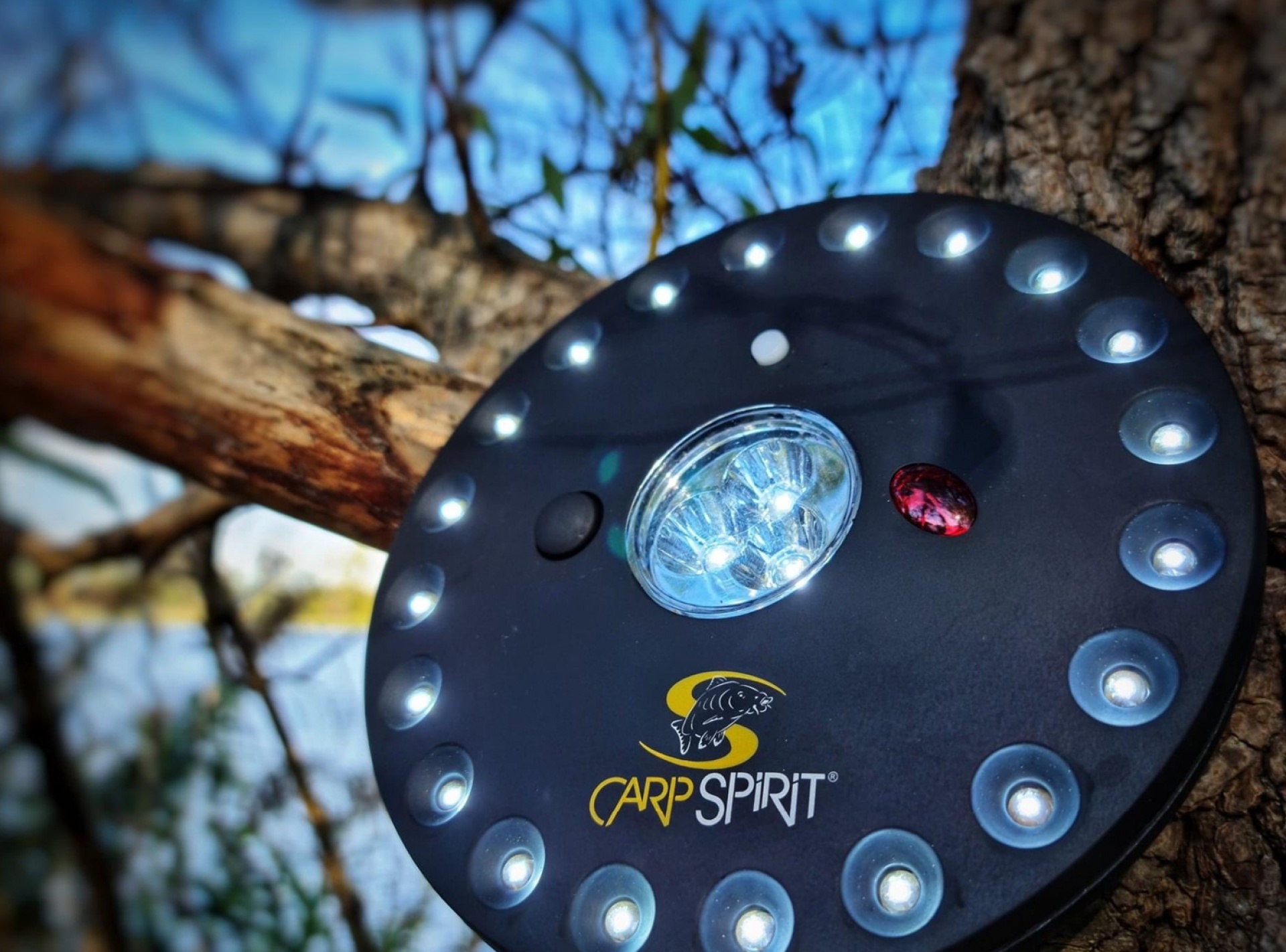 Carp Spirit Remote Control Bivvy Light