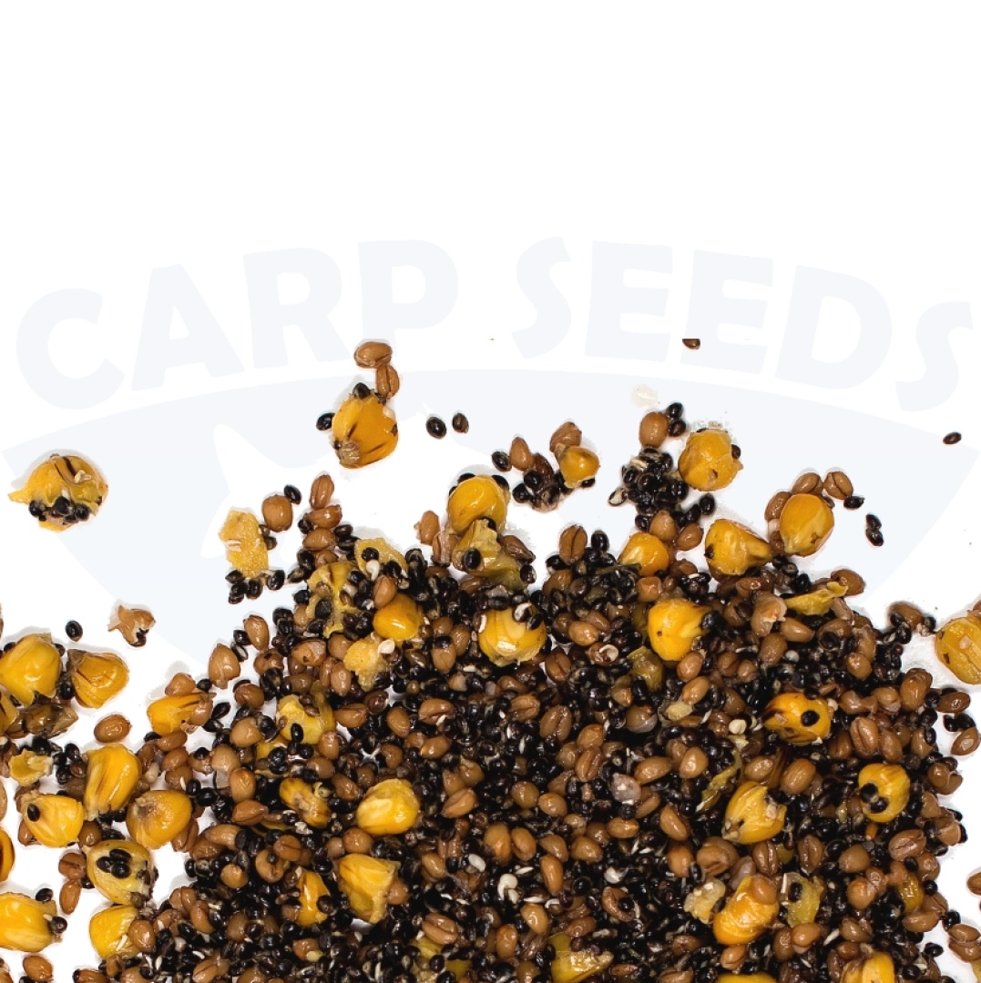 Carp Seeds Mix - Konopie, Pszenica, Kukurydza - Natural