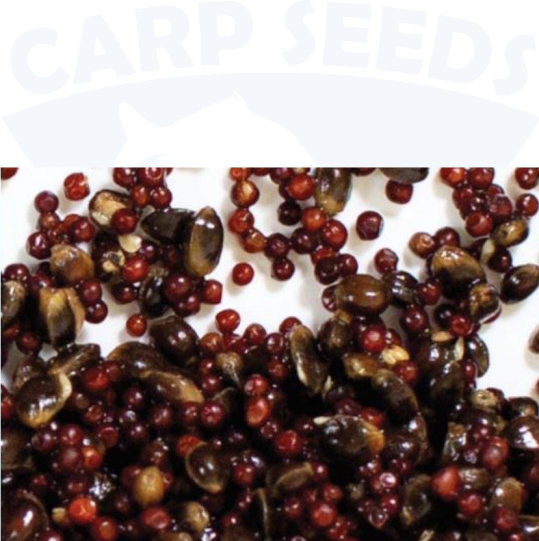 Carp Seeds Mix - Rzepik, Kender - Természetes