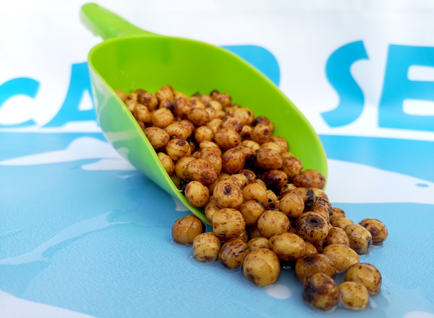 Carp Seeds  - Fermented Tiger Nuts