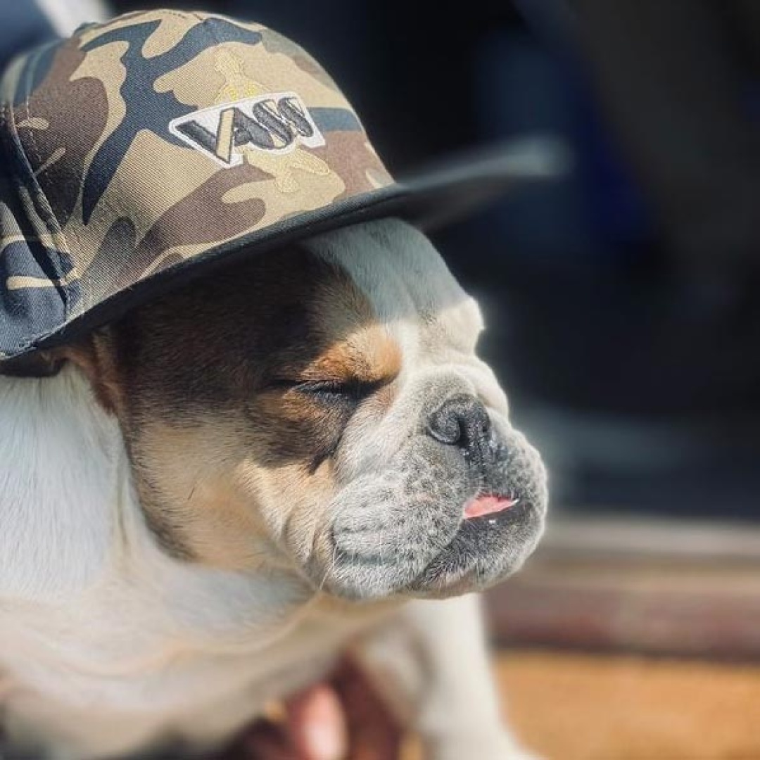 Vass Snapback Green Camo with Black Peak