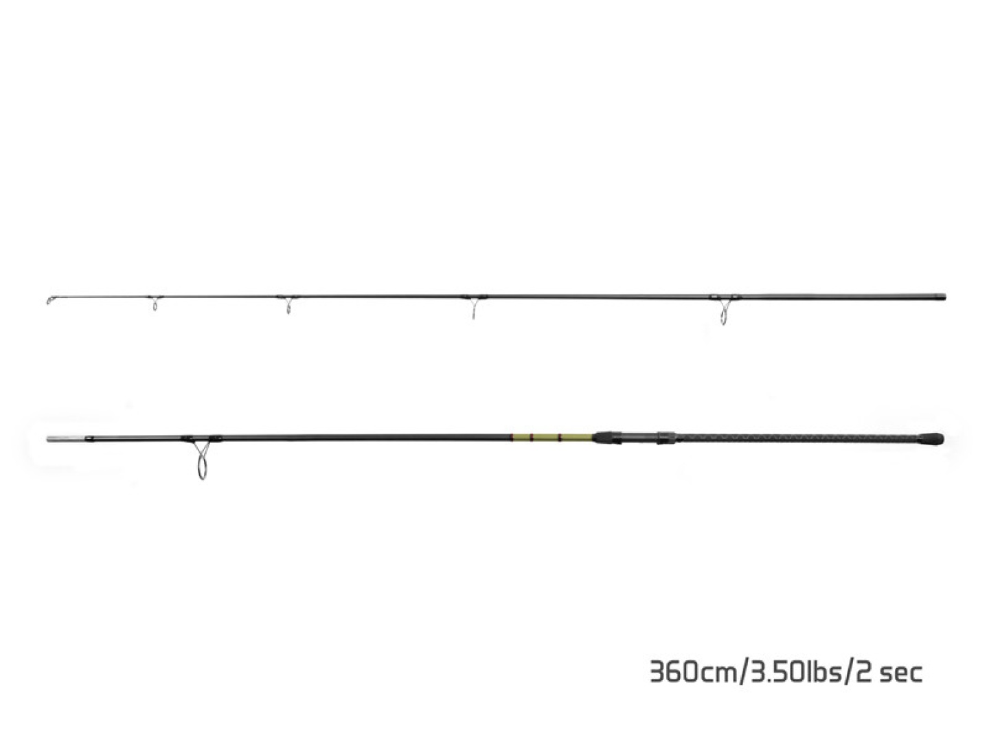 Delphin PARTISAN Carp Rod (2 sec.)