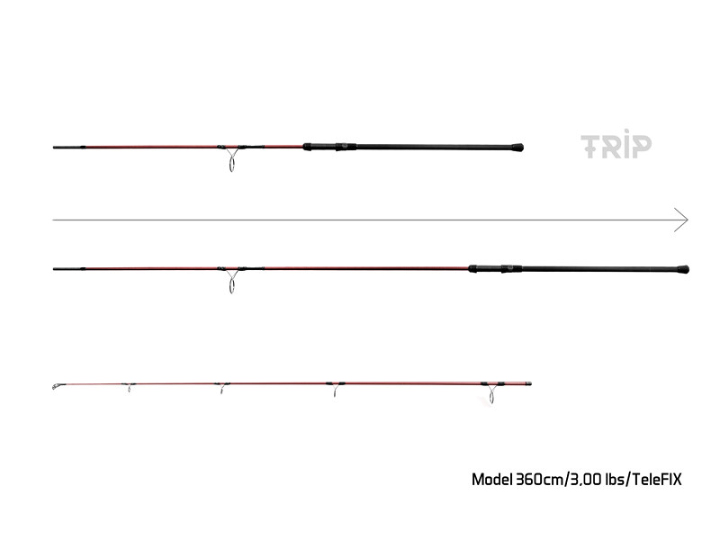 Delphin ETNA T3 Trip Carp Rod