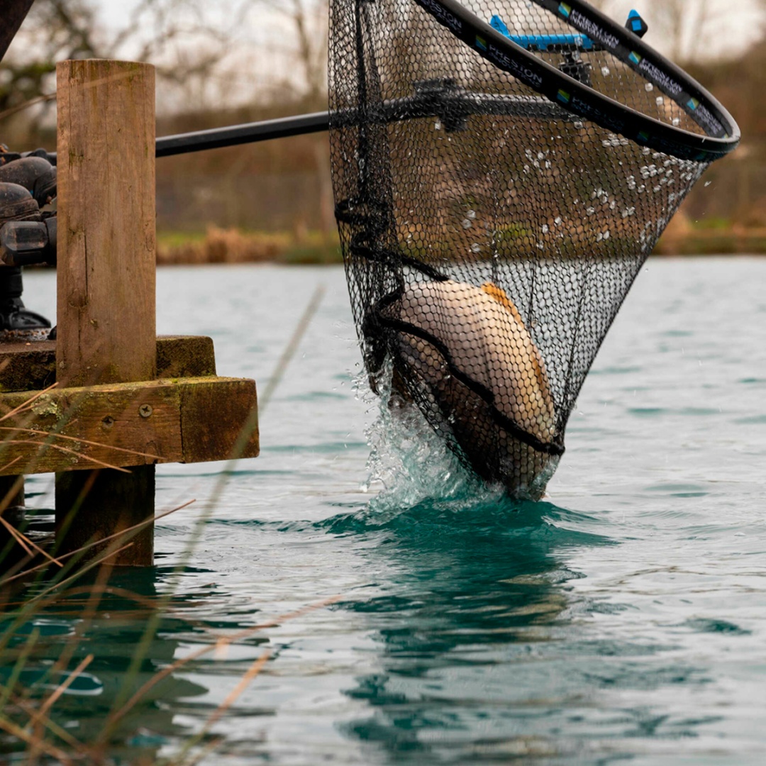 Preston Innovations Carp XS Landing Net