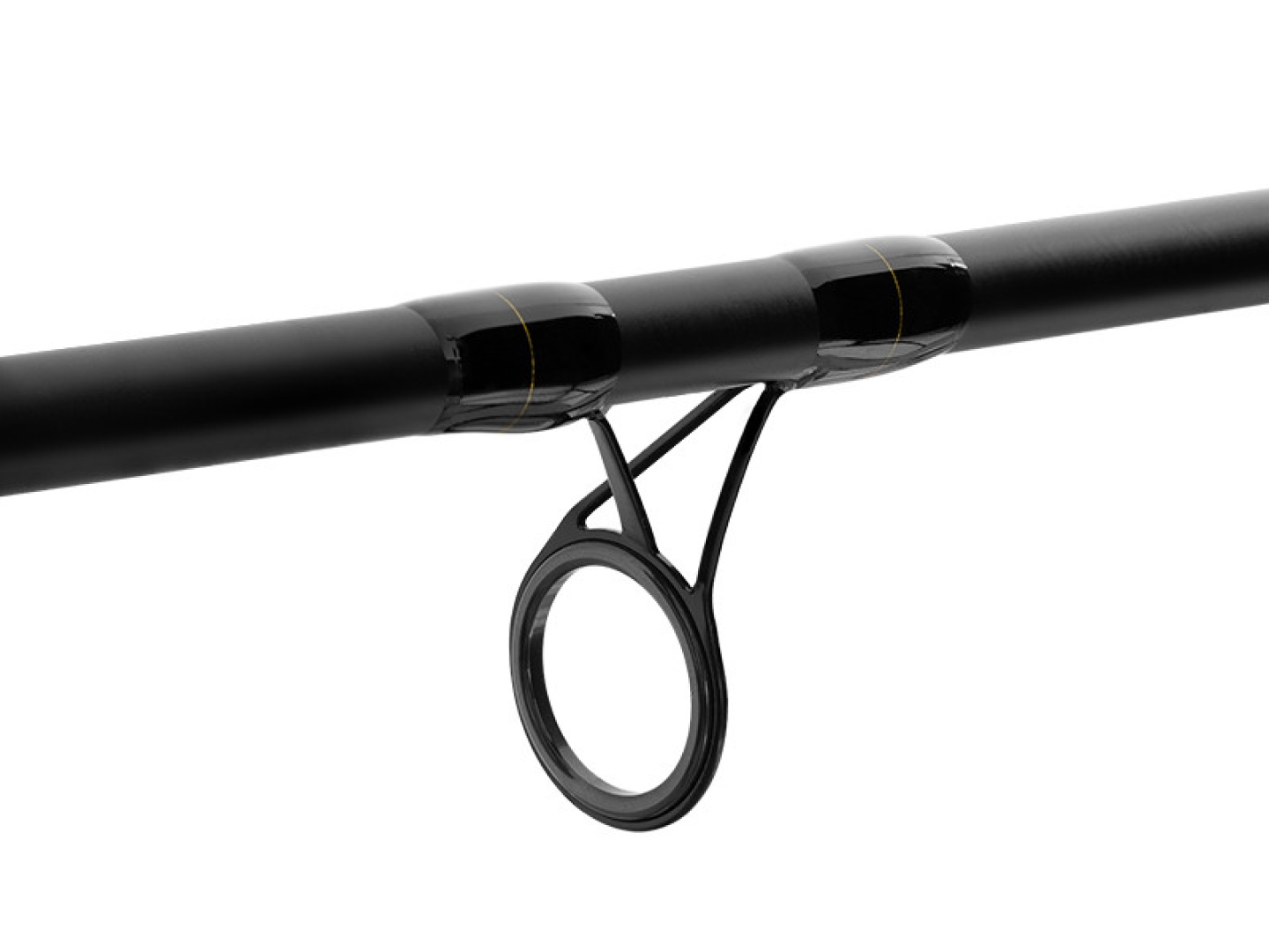 Delphin AMULET Carp Rod (2 sec.)