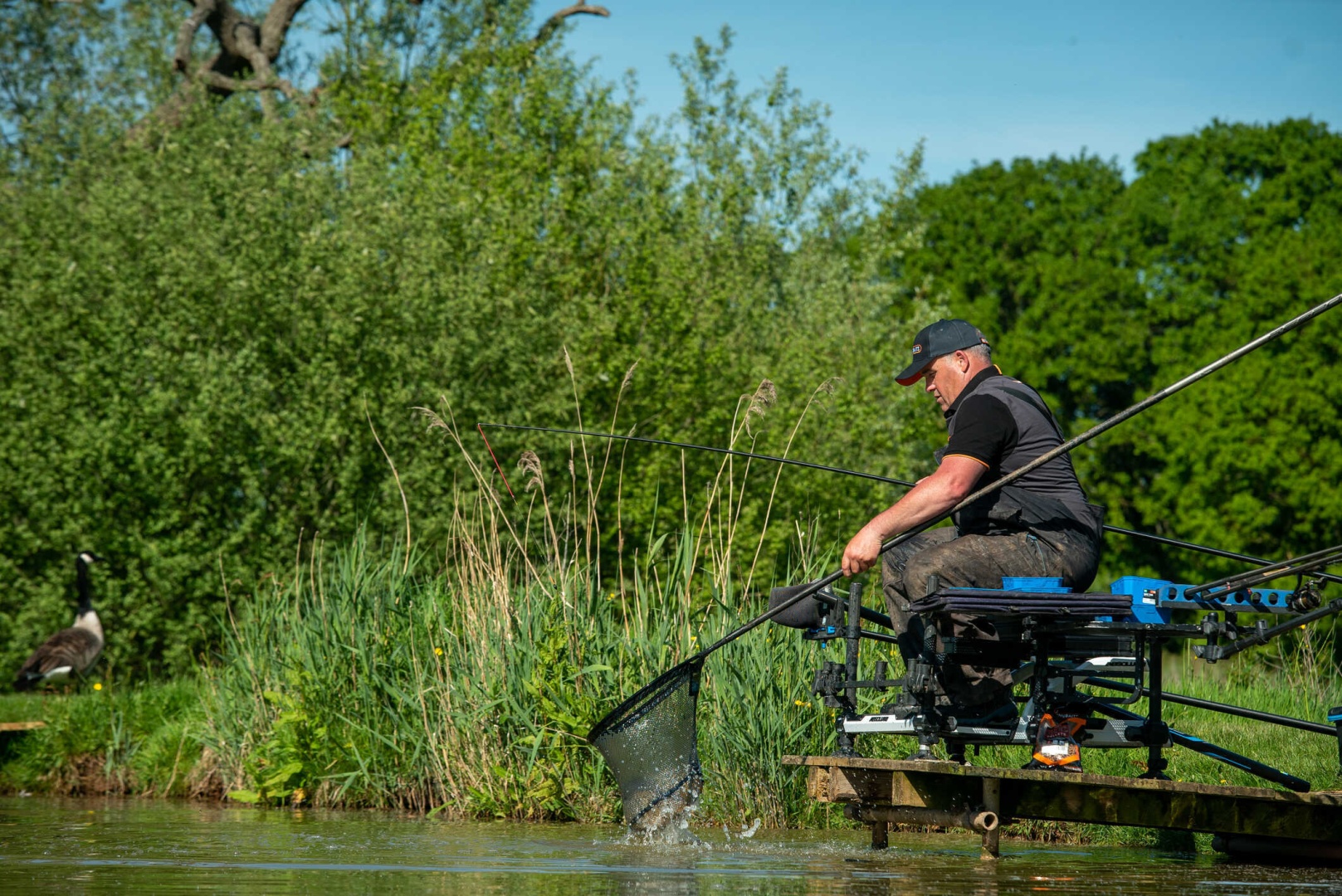 Sonubaits Polo T-Shirt