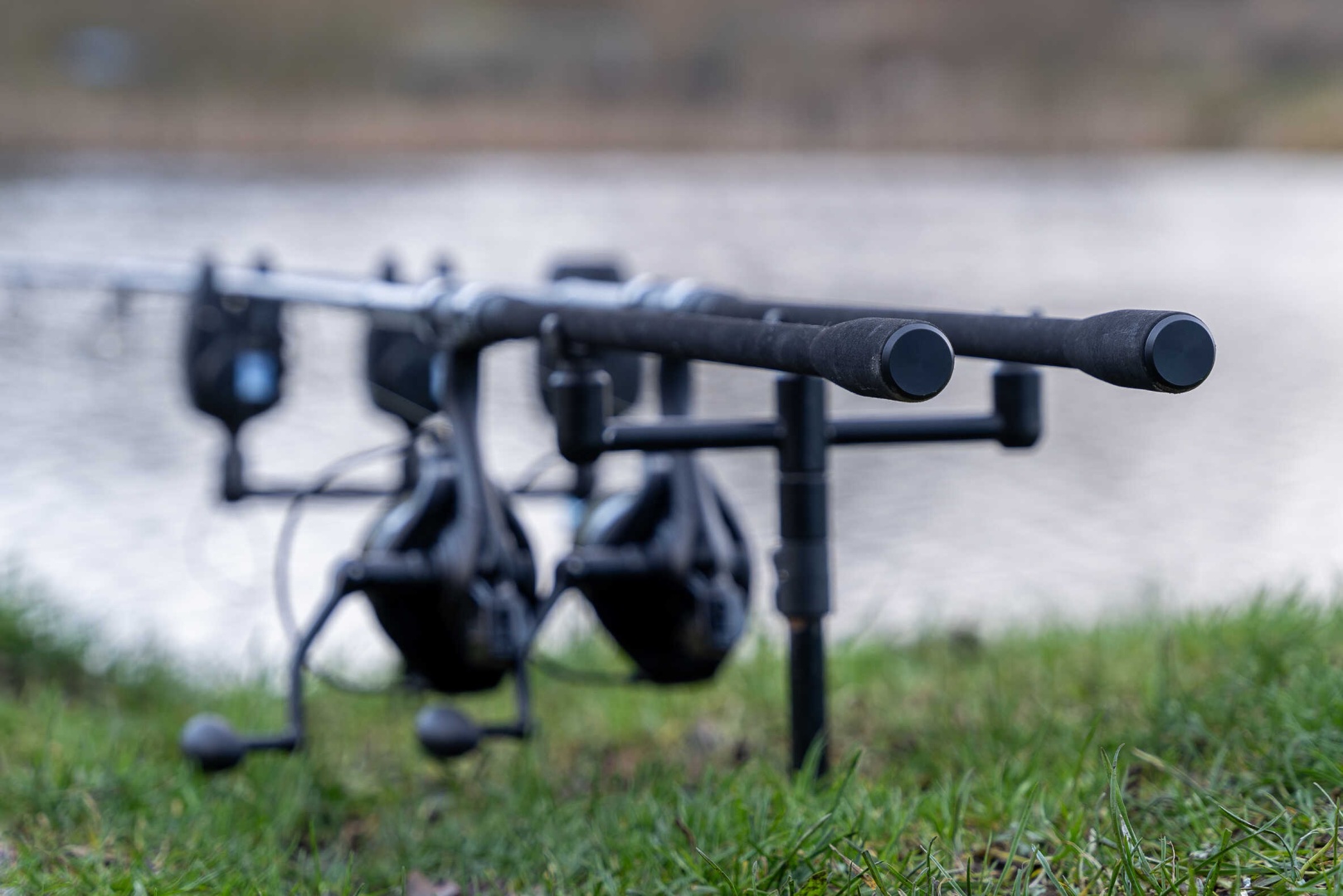 Avid Carp Revolve R Carp Rod