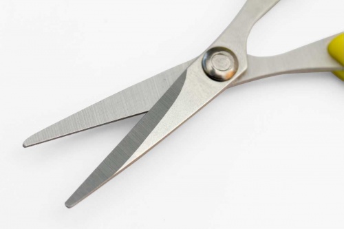 AVID CARP Scissors