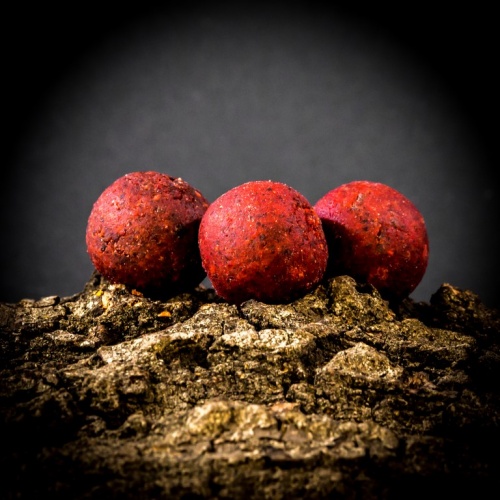 MassiveBaits Top Shelf Boilies Muddy Bloodworm